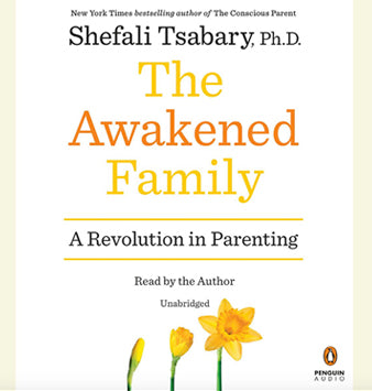 The Awakened Family (Audiobook)