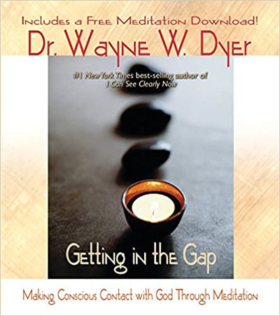 Getting in the Gap (Softcover)
