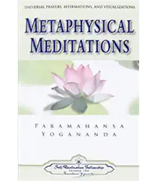 Metaphysical Meditations (Softcover)